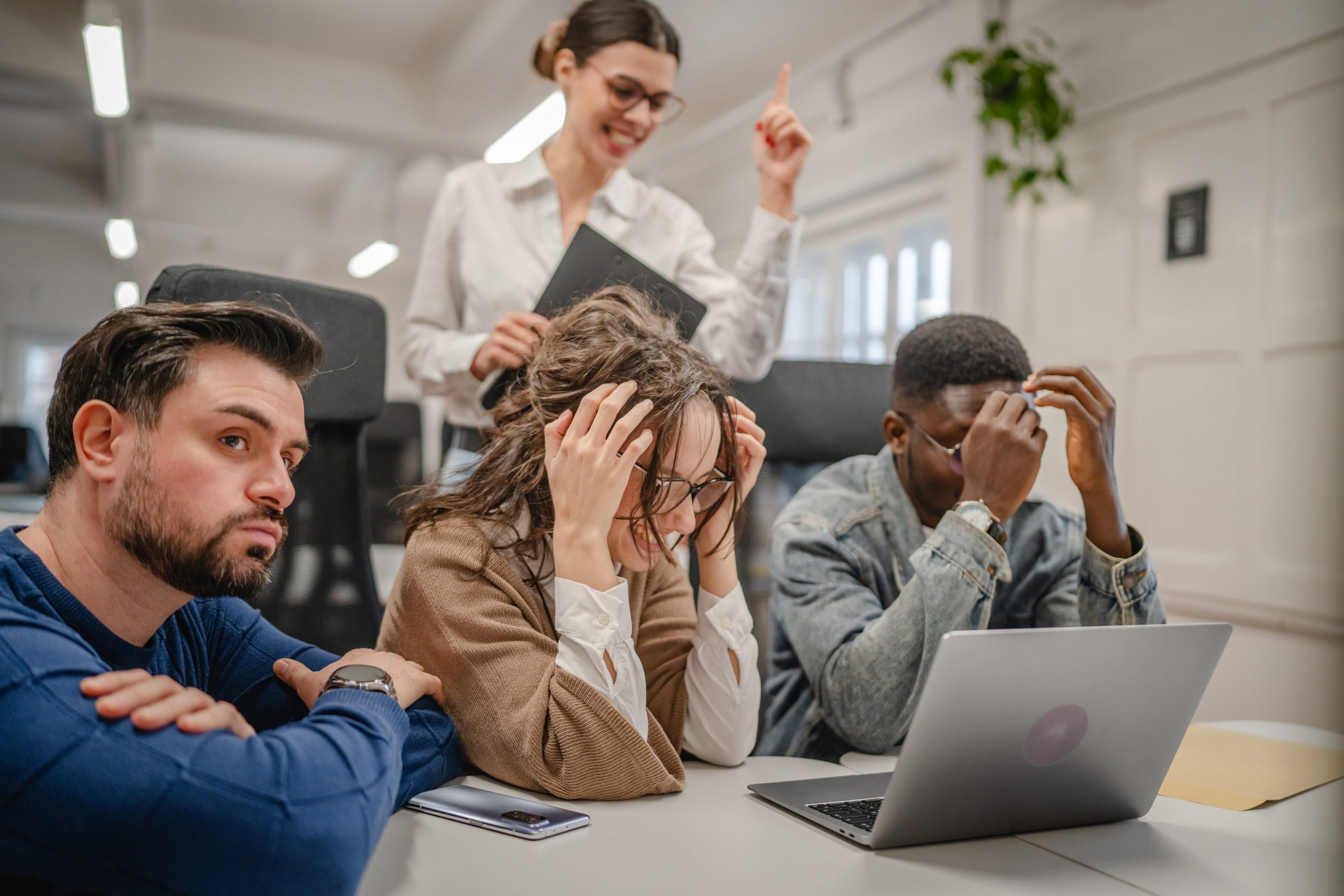 Der Fluch der Genies: