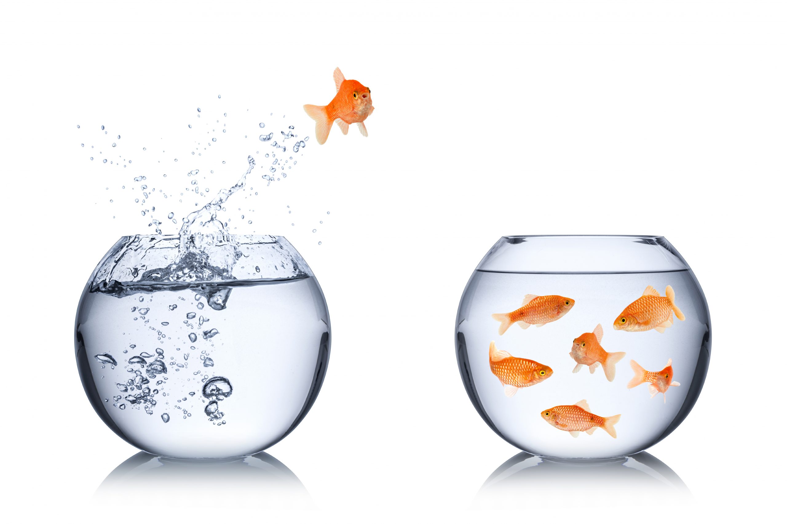 Willkommen oder schon verloren?